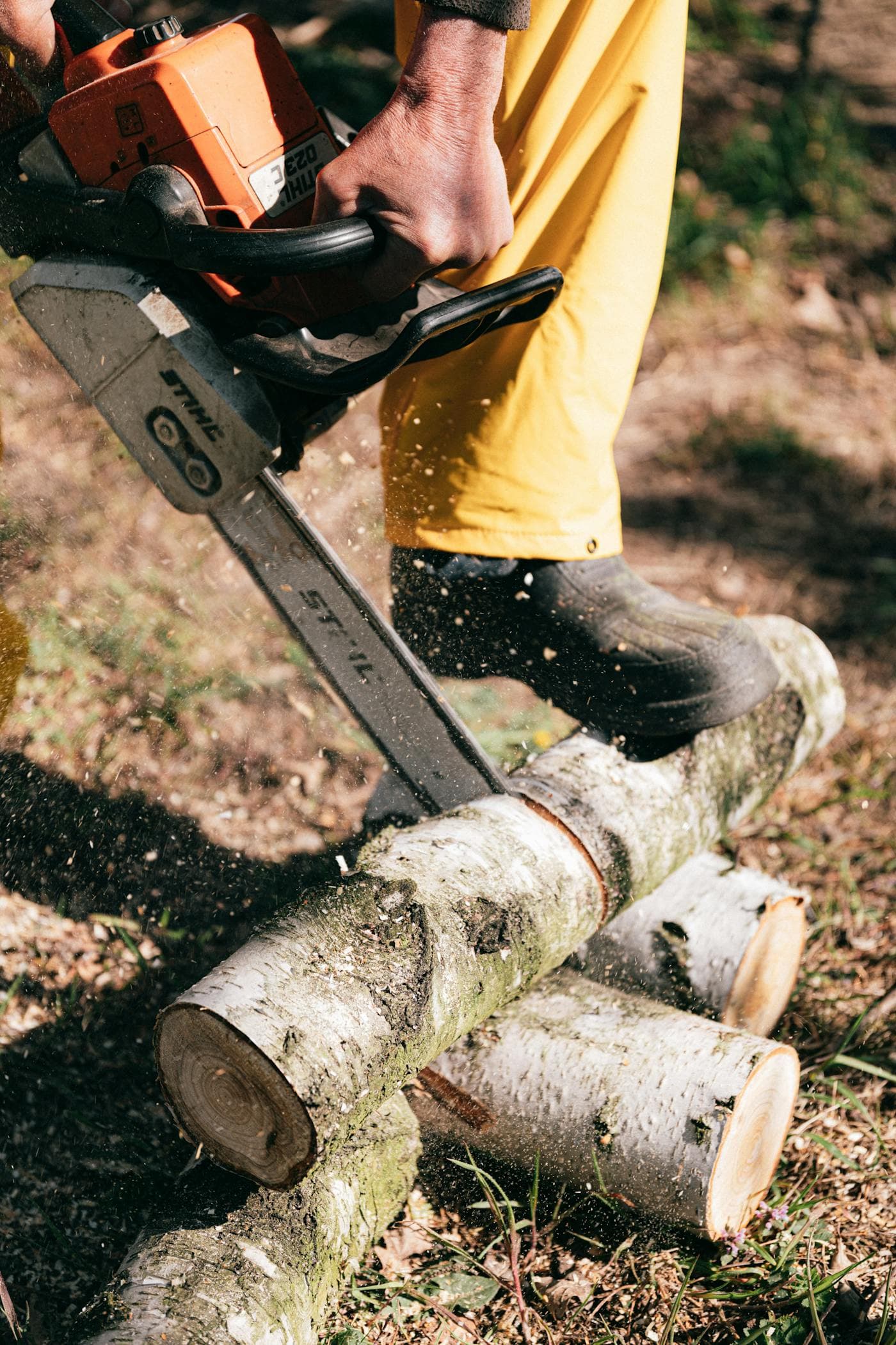 Storm-driven tree work in Oregon