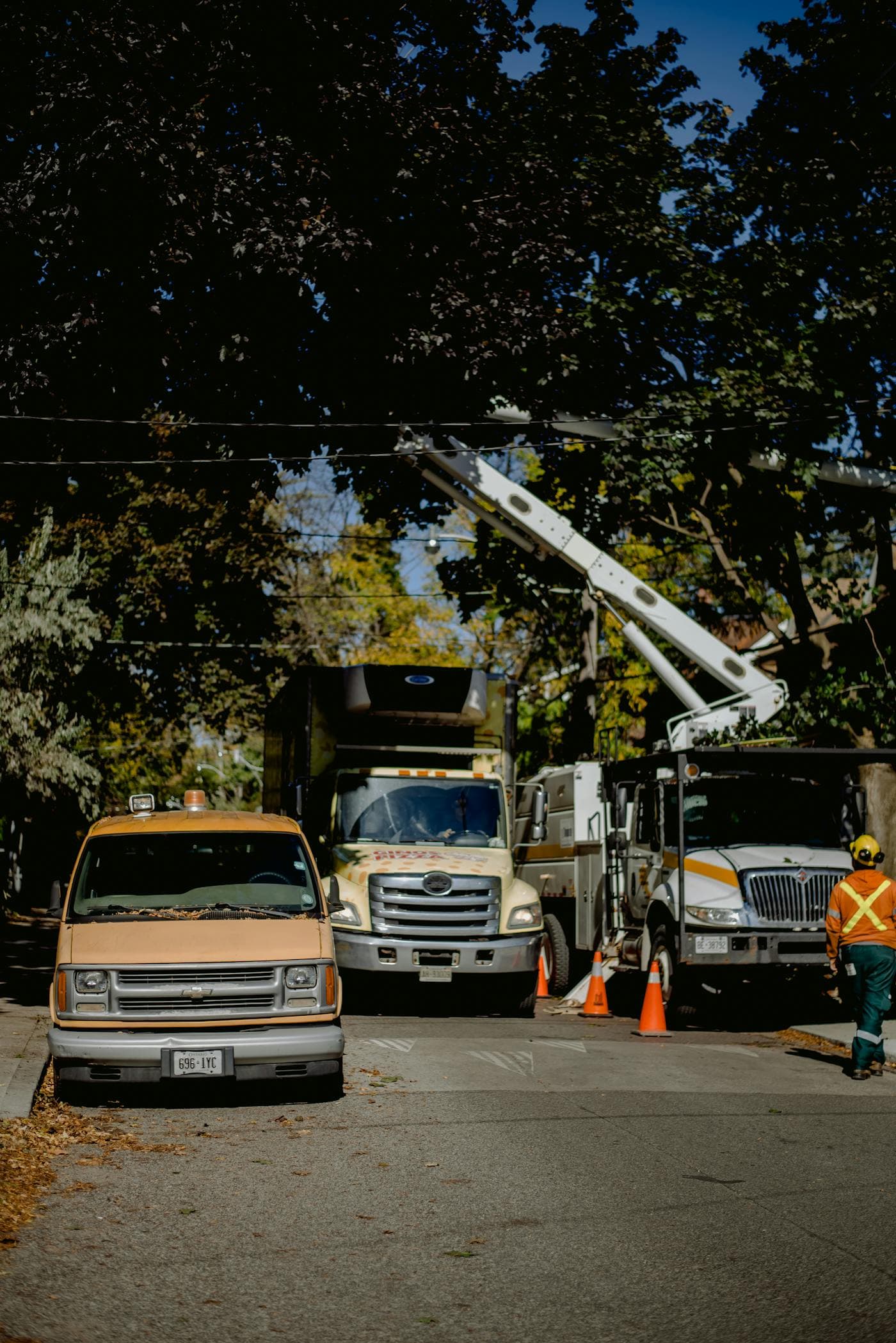 Fleet of tree service trucks on a job — real tree service businesses across the US