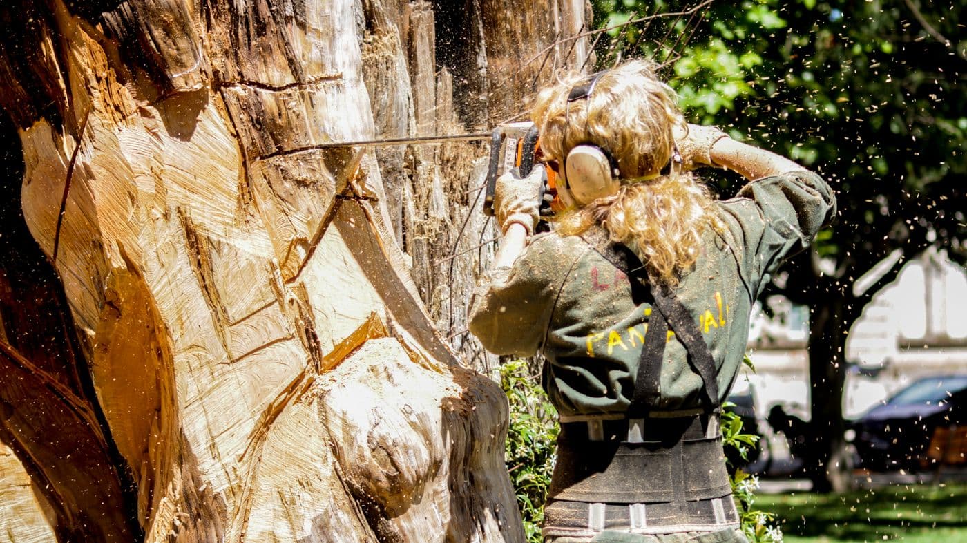 Storm-driven tree work in Alabama