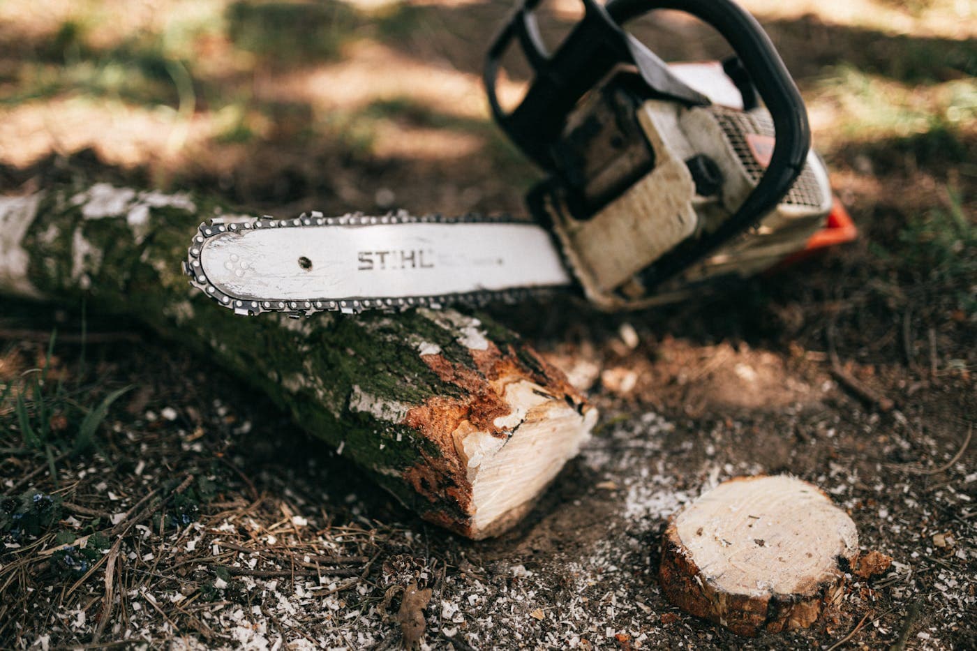 Exclusive tree service territory in Washington