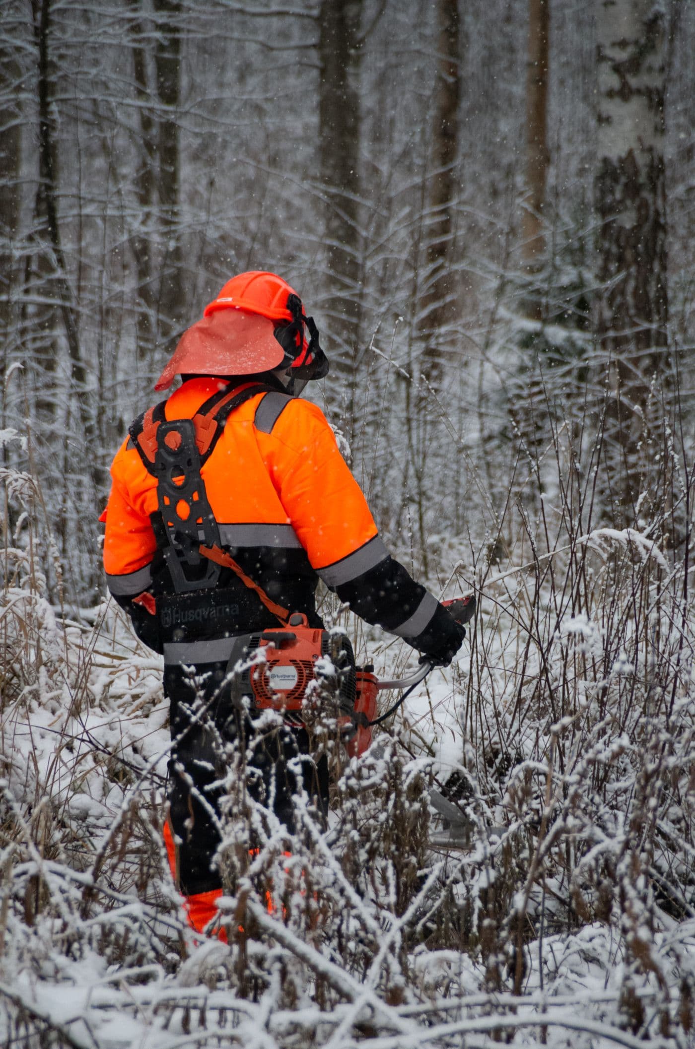 Kansas tree canopy and storm-driven removal demand